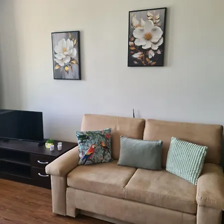 Spacious Studio - Bansko Royal Towers Apartment